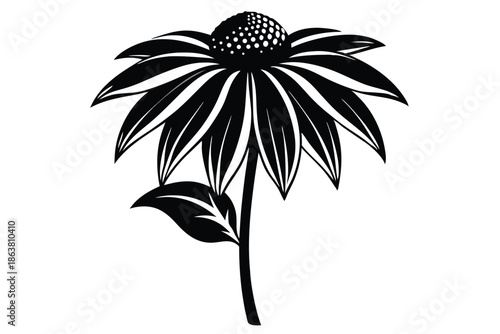 coneflower silhouette line art vector illustration