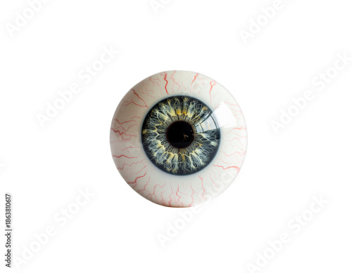 Human eye sphere with detailed iris and bloodshot sclera on white