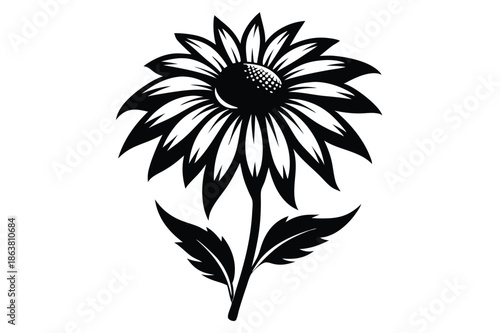 coneflower silhouette line art vector illustration