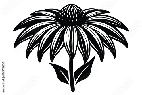 coneflower silhouette line art vector illustration