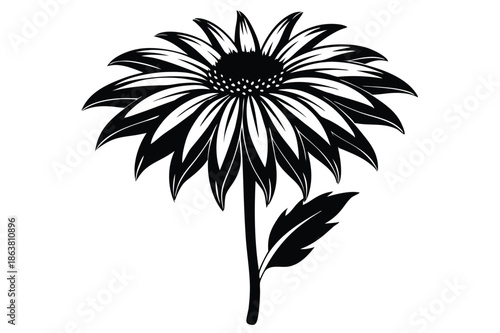 coneflower silhouette line art vector illustration