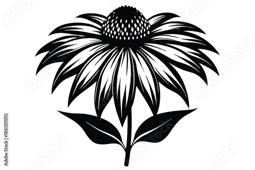 coneflower silhouette line art vector illustration
