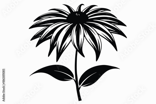 coneflower silhouette line art vector illustration