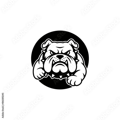 A powerful and aggressive bulldog mascot design with a spiked collar, perfect for sports teams or strong brand identities