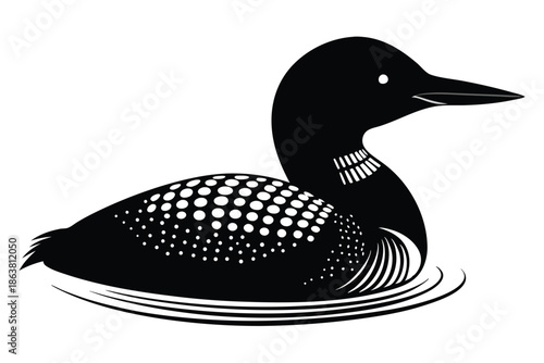 common loon silhouette line art vector illustration