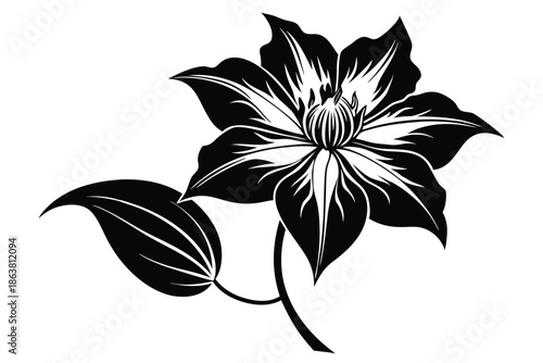 clematis silhouette line art vector illustration