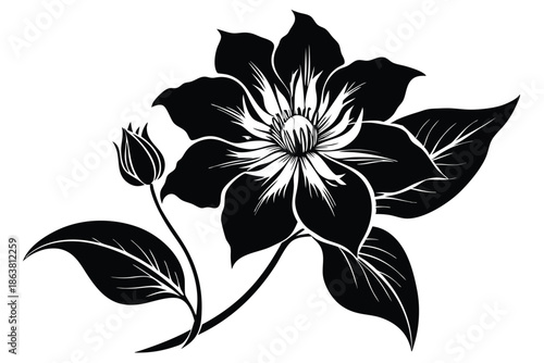 clematis silhouette line art vector illustration