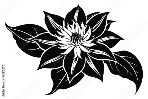 clematis silhouette line art vector illustration