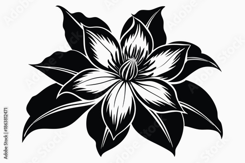 clematis silhouette line art vector illustration