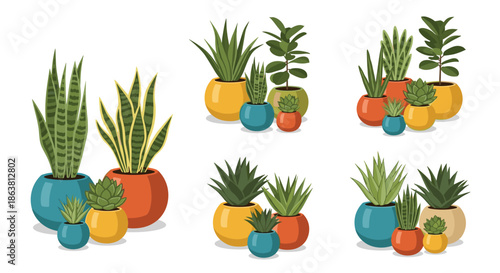 Various compositions of popular indoor houseplants in colorful ceramic pots, including snake plants, succulents, and fiddle leaf figs for modern home decor.