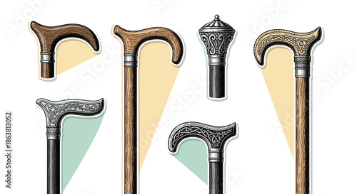 Assortment of classic and ornate walking canes with various handle designs, from simple wooden grips to decorative silver tops, in a vintage engraved style.
