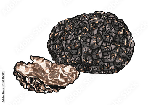 Rare Black Truffles Isolated