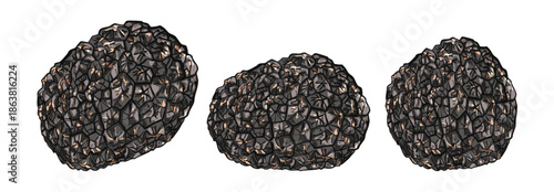 Black Truffles Set Isolated on White