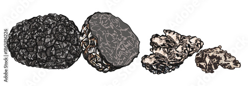 Vintage Truffles Ingredient Set Illustration