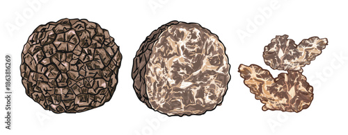 Sliced Black Truffles Isolated