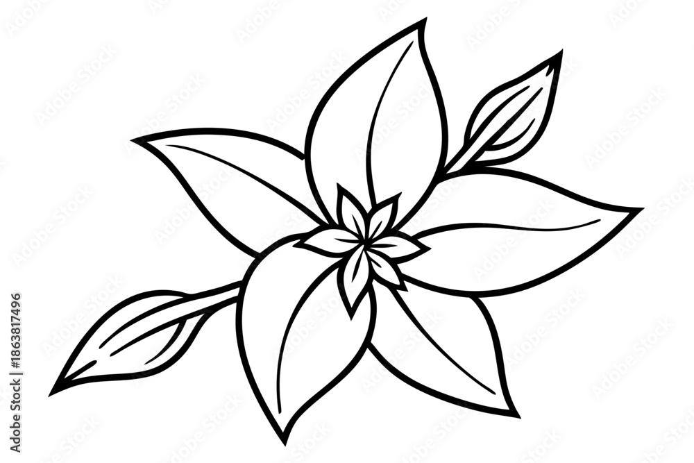 Obraz premium forsythia flower silhouette line art vector illustration