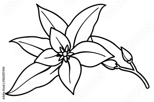 forsythia flower silhouette line art vector illustration