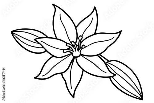 forsythia flower silhouette line art vector illustration