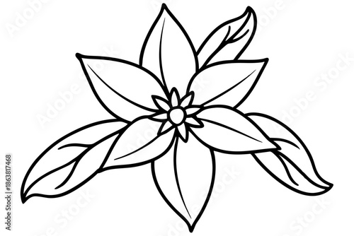 forsythia flower silhouette line art vector illustration