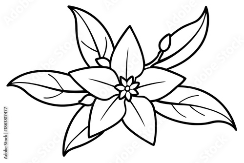 forsythia flower silhouette line art vector illustration