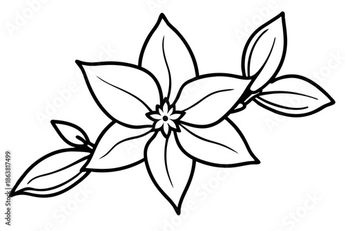 forsythia flower silhouette line art vector illustration