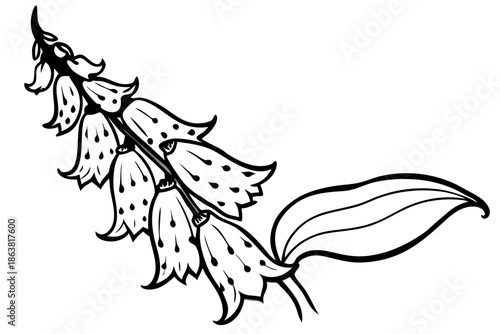 foxglove silhouette line art vector illustration