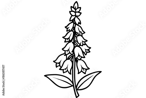 foxglove silhouette line art vector illustration
