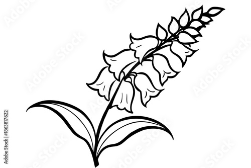 foxglove silhouette line art vector illustration