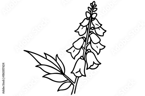 foxglove silhouette line art vector illustration