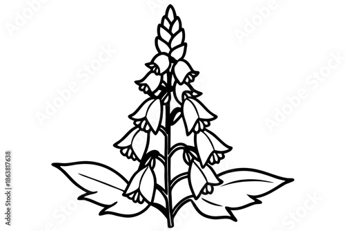 foxglove silhouette line art vector illustration