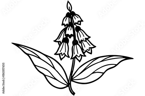 foxglove silhouette line art vector illustration