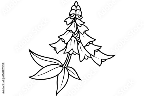 foxglove silhouette line art vector illustration