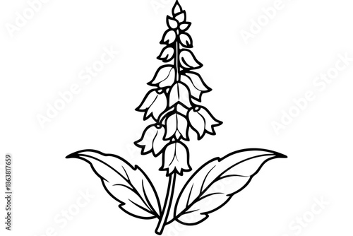 foxglove silhouette line art vector illustration