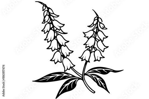 foxglove silhouette line art vector illustration