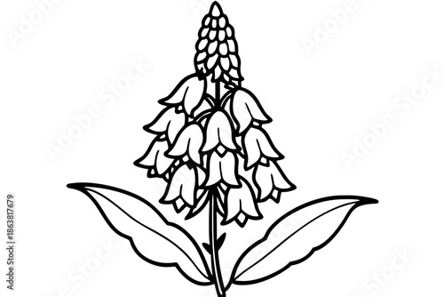 foxglove silhouette line art vector illustration