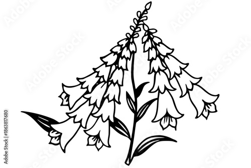 foxglove silhouette line art vector illustration