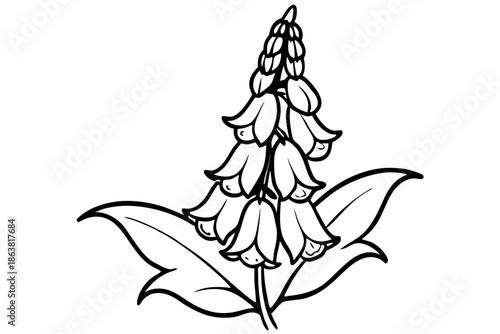 foxglove silhouette line art vector illustration