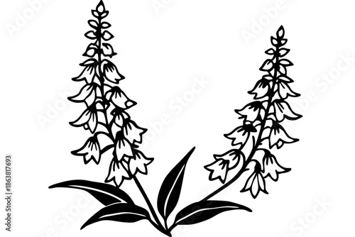 foxglove silhouette line art vector illustration