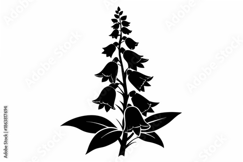 foxglove silhouette line art vector illustration