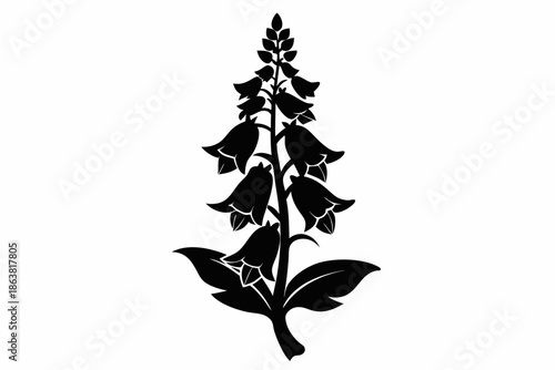 foxglove silhouette line art vector illustration