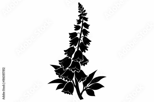 foxglove silhouette line art vector illustration