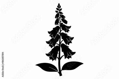 foxglove silhouette line art vector illustration