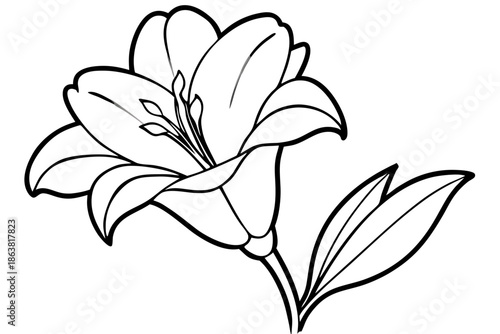 freesia silhouette line art vector illustration