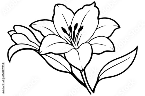 freesia silhouette line art vector illustration
