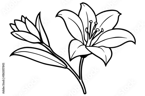 freesia silhouette line art vector illustration