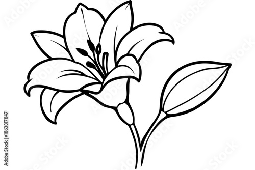 freesia silhouette line art vector illustration