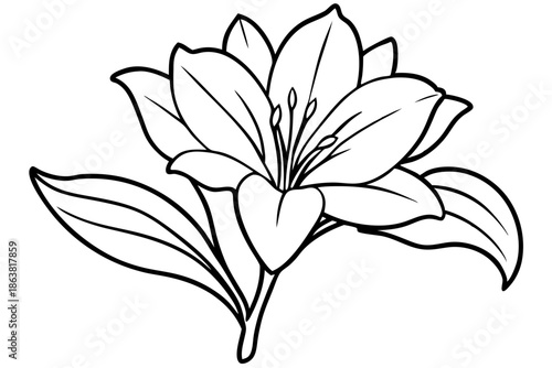 freesia silhouette line art vector illustration