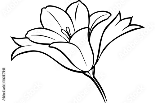 freesia silhouette line art vector illustration