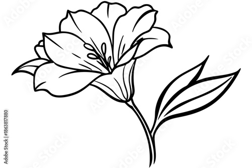 freesia silhouette line art vector illustration