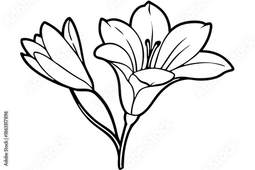 freesia silhouette line art vector illustration